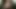 Ts Curvy Kim XxX BBW Solo