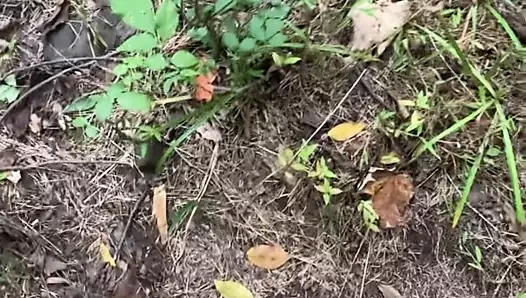 ormanda cumming