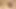 Masturbation in nature
