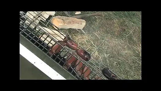 Göt kampında yaraklar (tam film hd versiyonu)