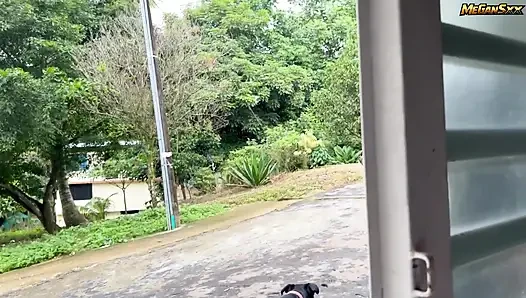 That's how I work with the dog walker.