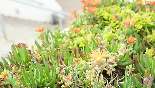 Kız tatilde arabada oynaşıyor