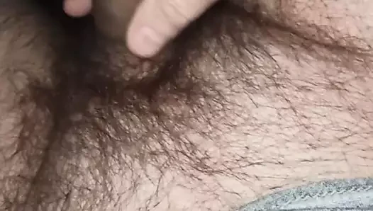 Konia wale