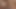A Joyful Journey Through Two Exciting Cocks