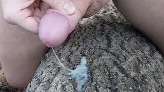 Pulă cu spermă publică în pădure