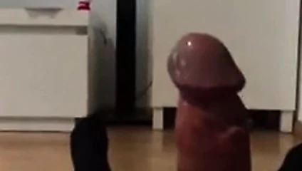 Videosega 2