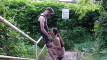 Pratinjau video