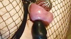 De schattigste mietje femboy in metalen kuisheid en speelgoed boypussy met anale grote zwarte lul zwarte dildo in lingerie visnetten
