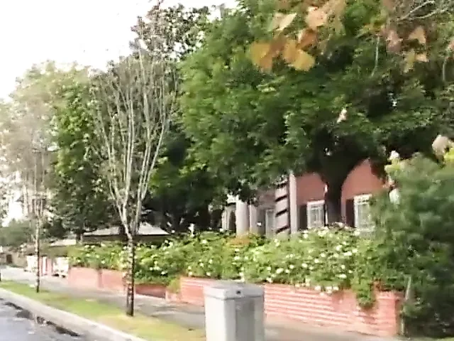 V.B.