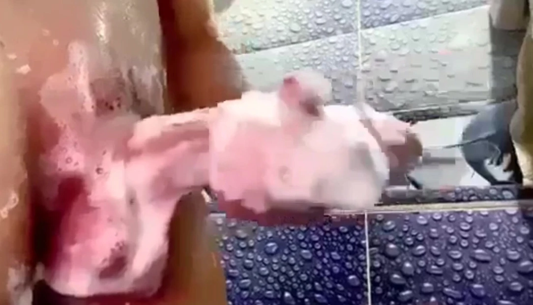 I'm want to fuck you baby