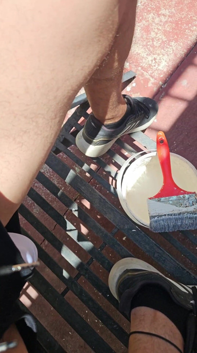 Painted the fence and my penis came out of my shorts