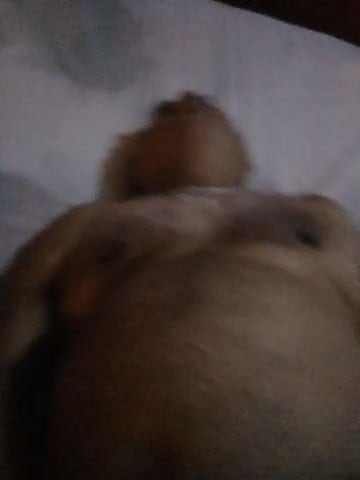 My daddy bear