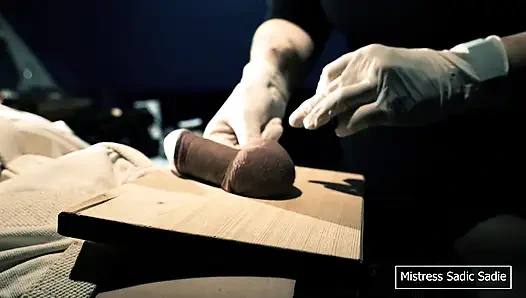 İlk Kez Topları ve İğneyi Meşe Palamudunuzdan Çiviliyorsun.