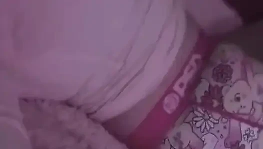 Alberne goose mit stiefmutter