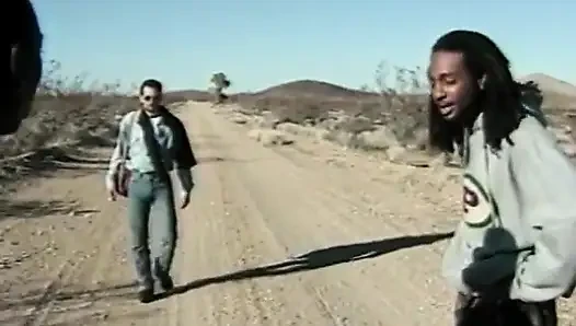 Beyaz yarak azgın zenci kaltağı sikiyor