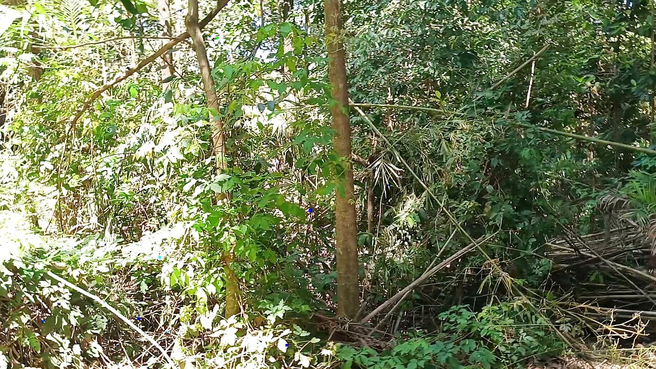 我和Rafinha一起去公園