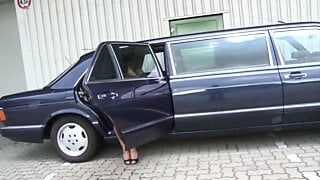 Chiếc limousine của dục vọng (phim ganzer)