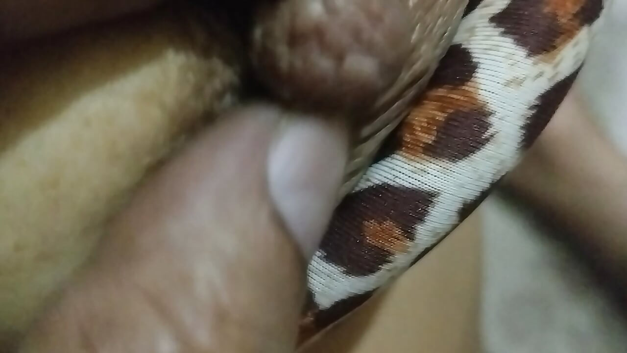 Bhabhi Ki Mast Jawani Seksi Payudara Chut Puting