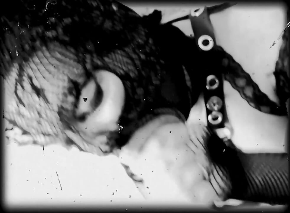 Private Films n.1 the sex Minister and the slutty Secretary