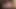 Twistys - büyük doğal baştankara esmer bebek mastürbasyon yapmayı seviyor