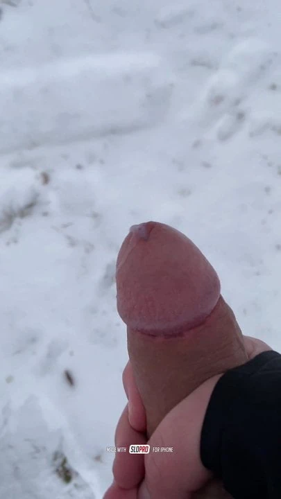 Snow Day