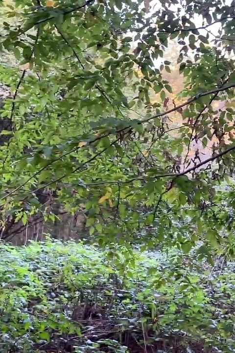 I Met Pervert Submissive Girl Outdoor and Punished Her Pussy