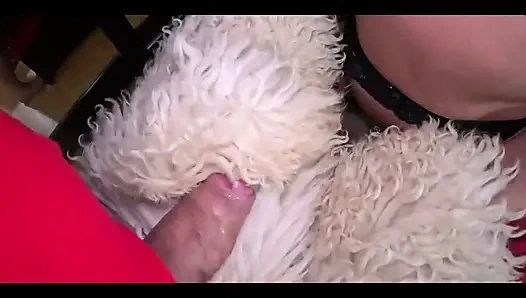 Ngentot muka dan muncrat bareng cewek seksi dientot habis-habisan di rugs 272