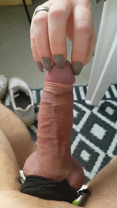 Cock playing in the sun