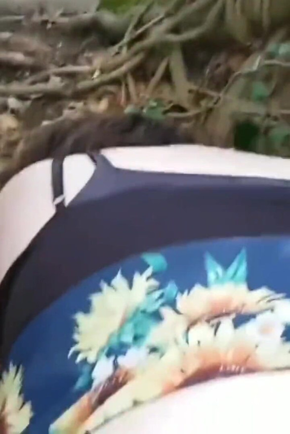 WildEnglishBBW BBC Nata4sex - Drilling my pussy outdoor doggy cumshot