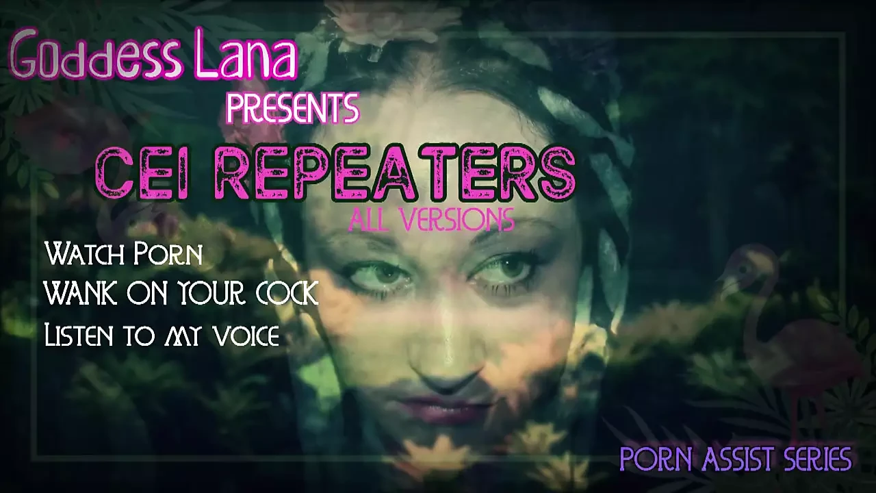 CEI Repeaters All Versions.