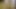 teaser