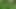 Caught Fucking in the Forest