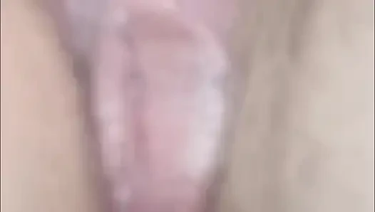 Он показывает свою раковину крупным планом