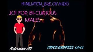 AUDIO ONLY - JOI for bi-curious males