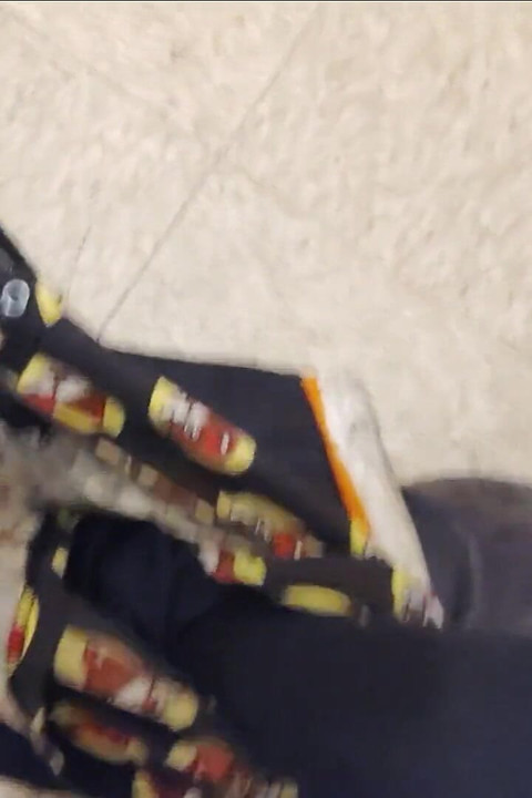 タコベルでジャークをしているのを捕まった
