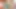 Southernstrokes twinks elio pjatteryd ve larry wilson yoğun bir şekilde prezervatifsiz