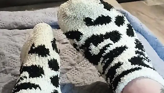 Quit stealing my socks jack