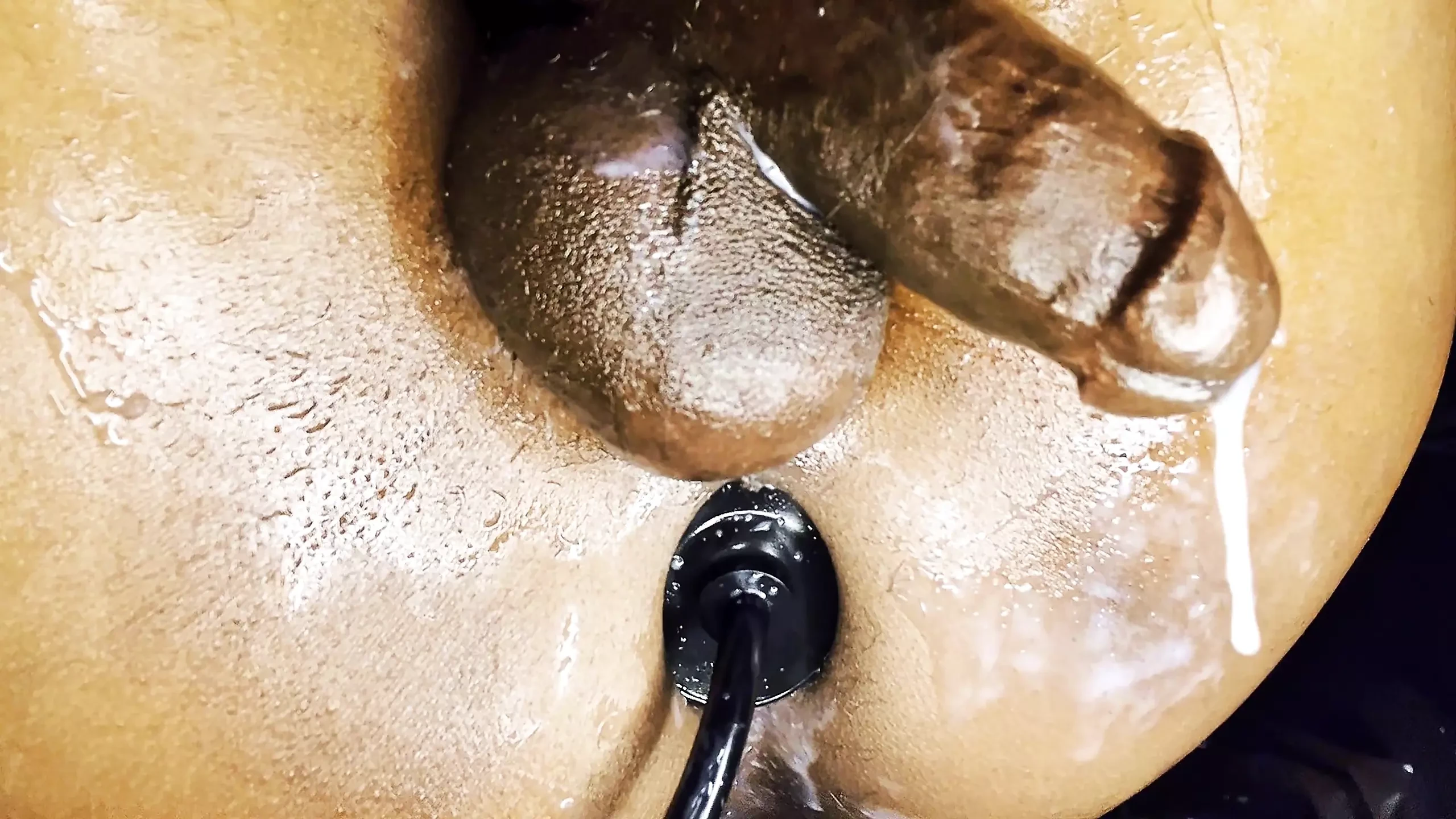 Ms300 Sarazia Exotic - Stretched Gaping Cum