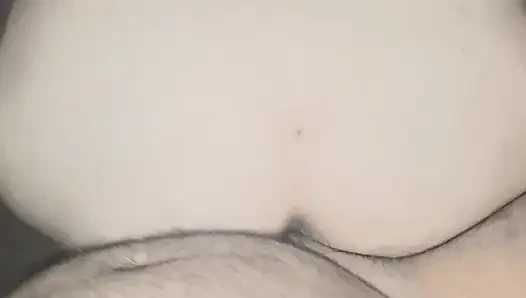 of a puppy