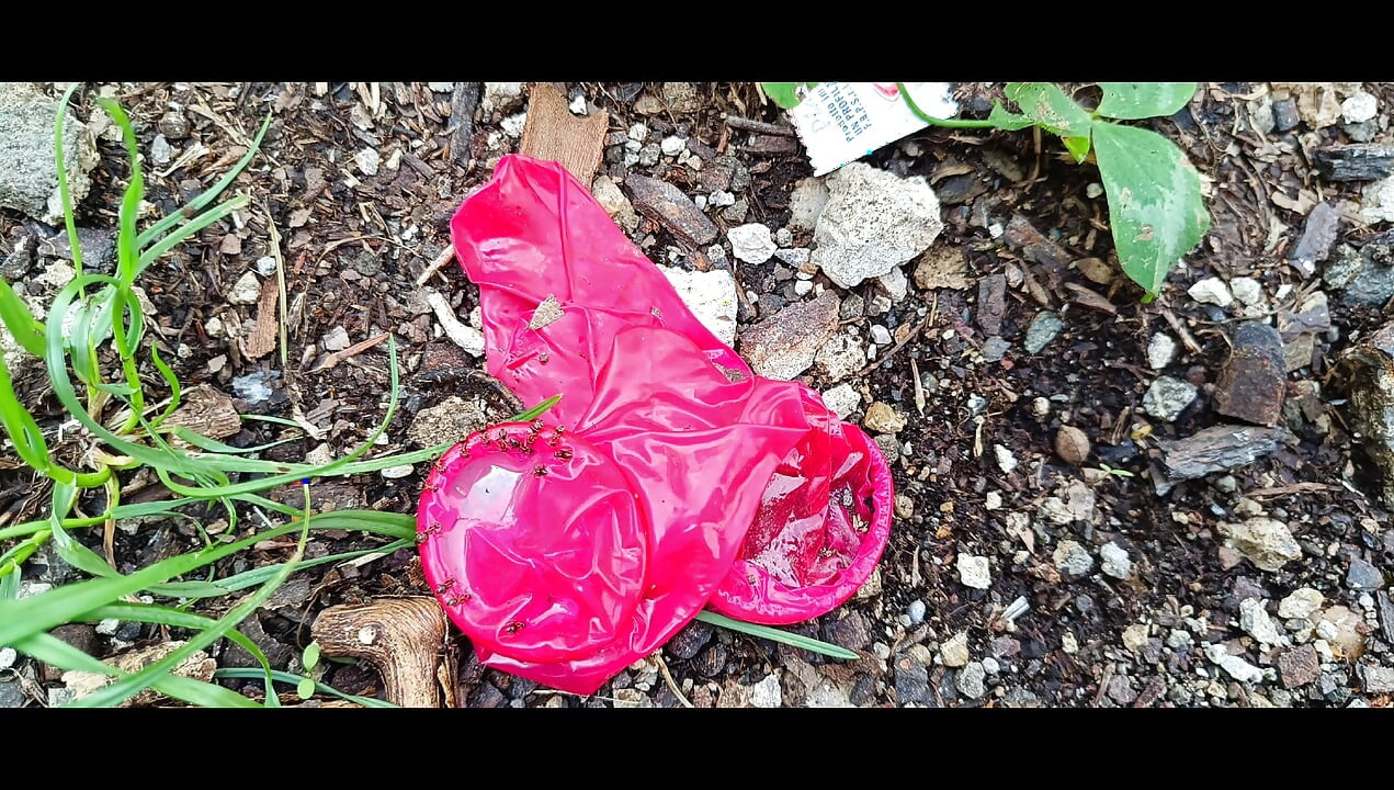 Used Condom #6