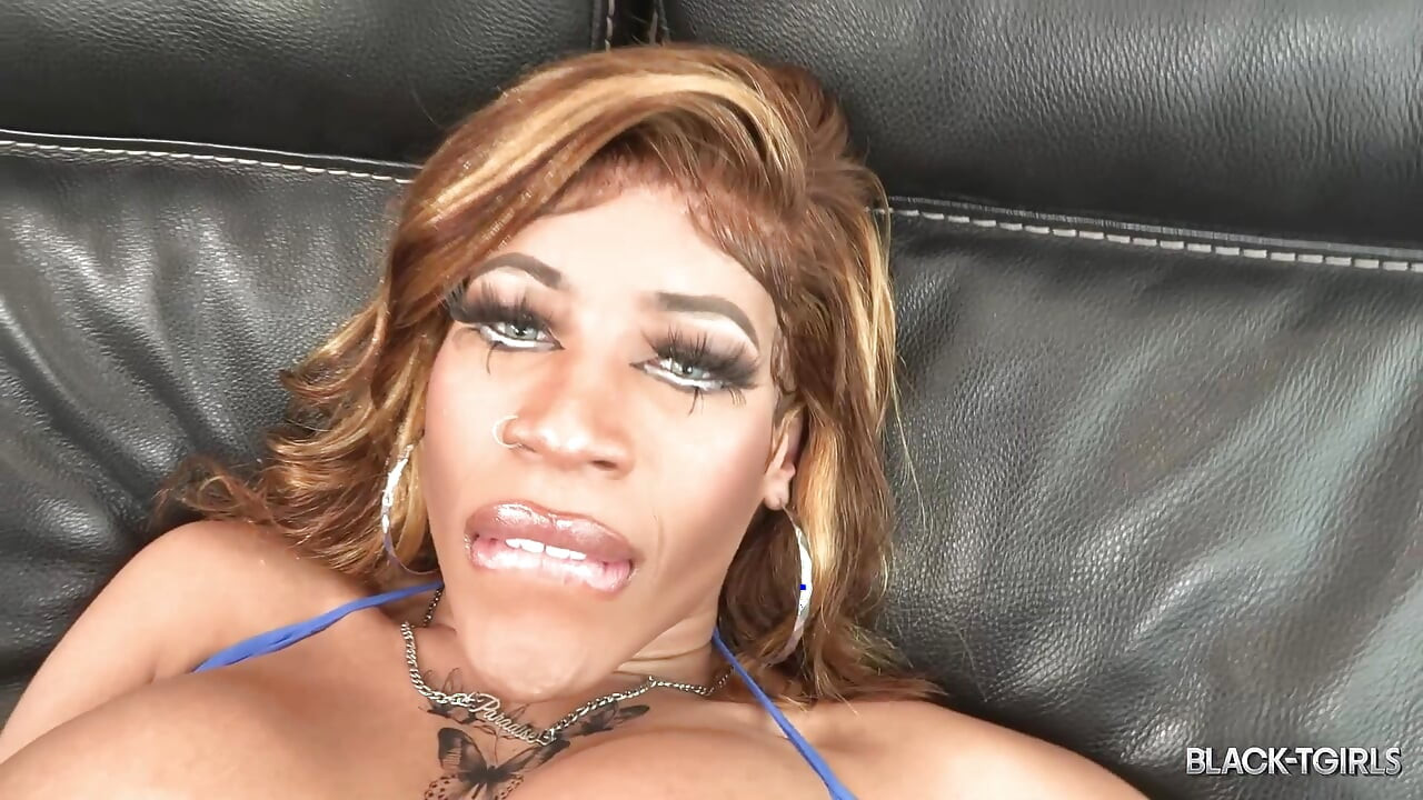Siyah tgirls - siyah büyük ereksiyonlu cennet bebeği okşuyor