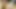 THIS GUY HAD A BIG PENIS AND WANTED TO PENETRATE ME UNTIL HE LEFT MY BACK FULL WITH HIS HOT CUM