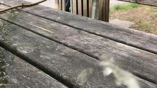 Mear en una mesa al aire libre
