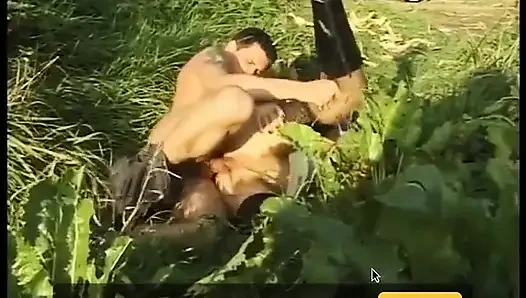 Киски в парке - DVD