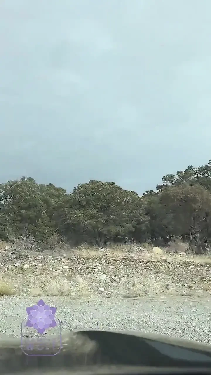 Hot Tub BJ and Cum on Tits