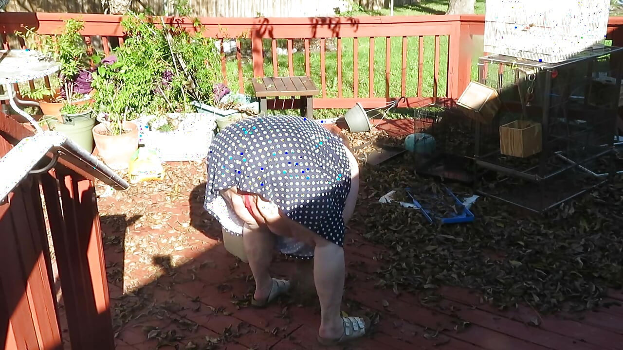 Jugando en mi jardín mostrando mis tetas vientre culo, piernas y coño gordo mostrando usted mientras limpia mis hojas! Tanga de encaje rojo!