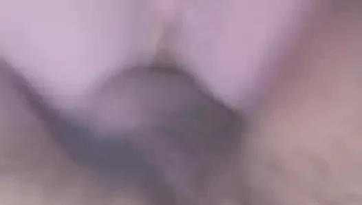 Pocepane helankice sex