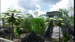 Pratinjau video