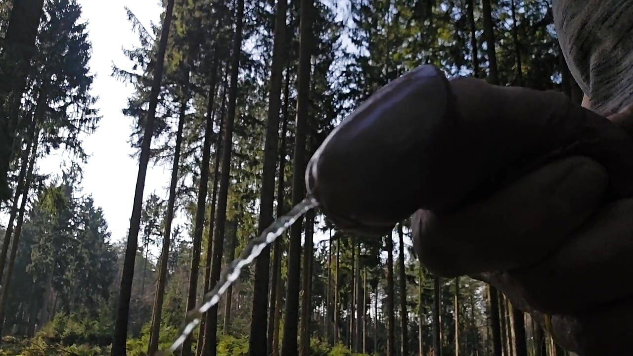 Pissing everywhere, in the forest, on the sofa, in the sink