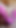 Spectacular moment from "Making myself orgasm in cum stained pink panty"